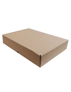 Caixa Cartão Simples 455x330x55mm P/ Expedição Auto-Montável