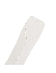 Colheres Sobremesa Papel 94mm (Caixa com 400 unidades) 2