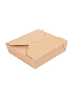 Caixa Cartolina Kraft 21,7x21,7x6cm 2910ml (100 unidades) 2