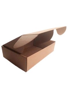 Caixa Cartão Simples 365x255x80mm P/ Expedição Auto-Montável