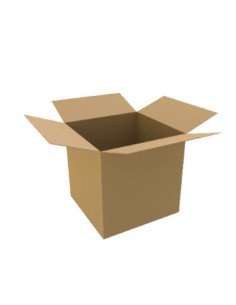 Caixa 350x250x200mm Cartão Duplo Pack (10 unidades)