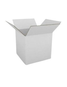 Caixa 350x250x200mm Cartão Duplo Branco Pack (10 unidades)